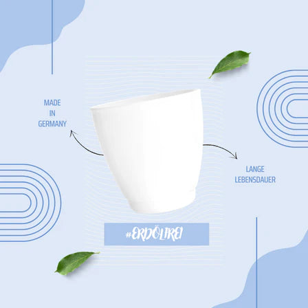 DENTCYC Dentcup Mundspülbecher wiederverwendbar